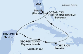 Msc Divina 22.2.2026, Miami