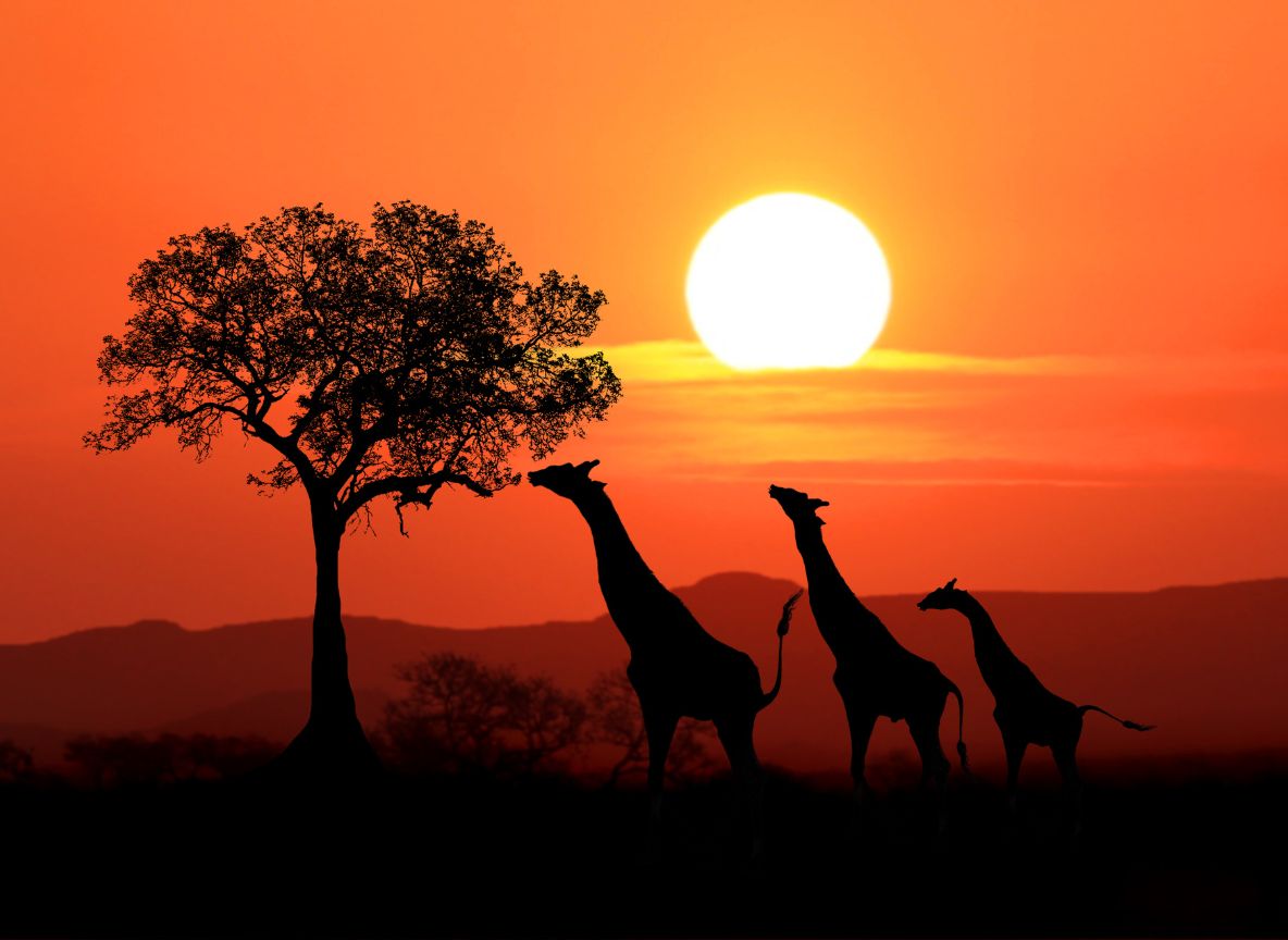Južna Afrika